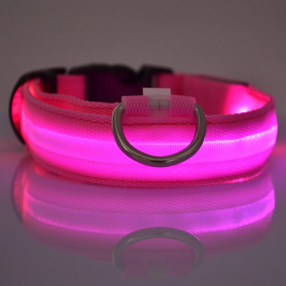 LED Night-Safe Luminous Dog Collar