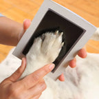 Paw Print MemoryPad – Clean-Touch Inkless Keepsake Kit