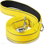 Night-Safe Reflective Dog Walking Leash