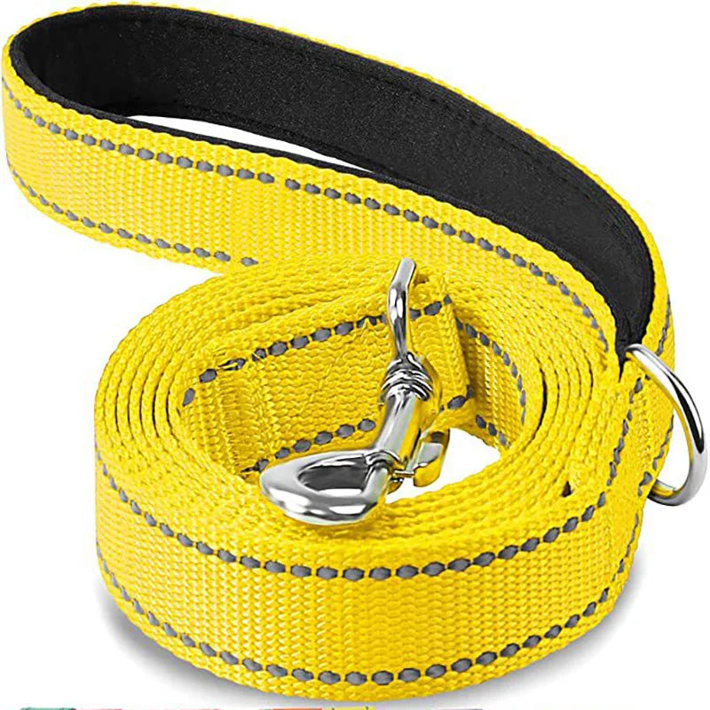 Night-Safe Reflective Dog Walking Leash