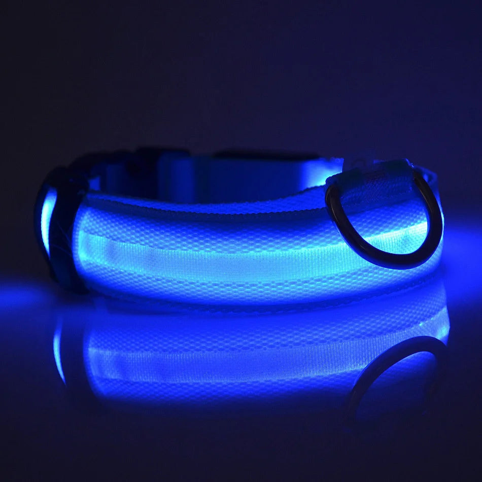 LED Night-Safe Luminous Dog Collar