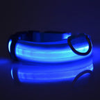 LED Night-Safe Luminous Dog Collar