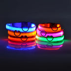 LED Night-Safe Luminous Dog Collar