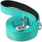 Night-Safe Reflective Dog Walking Leash