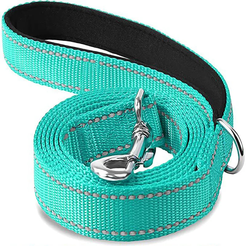 Night-Safe Reflective Dog Walking Leash