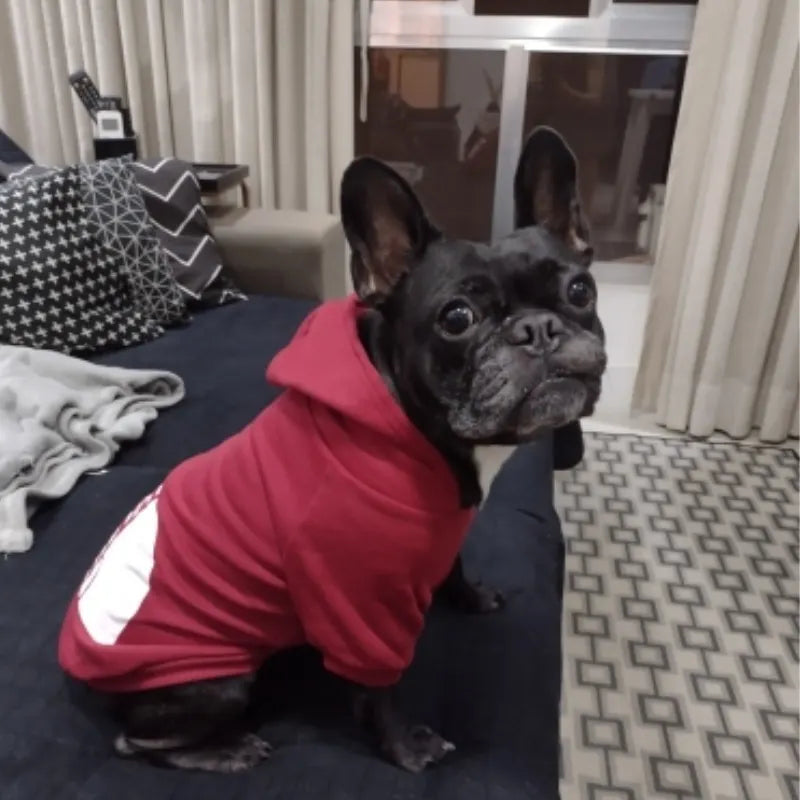 TheDogFace – Cozy Windproof Dog Hoodie