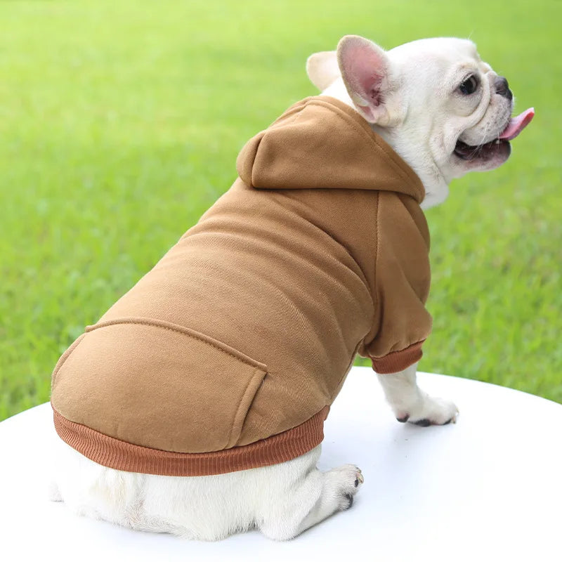 Winter Hooded Sweatshirt for Dogs & Cats