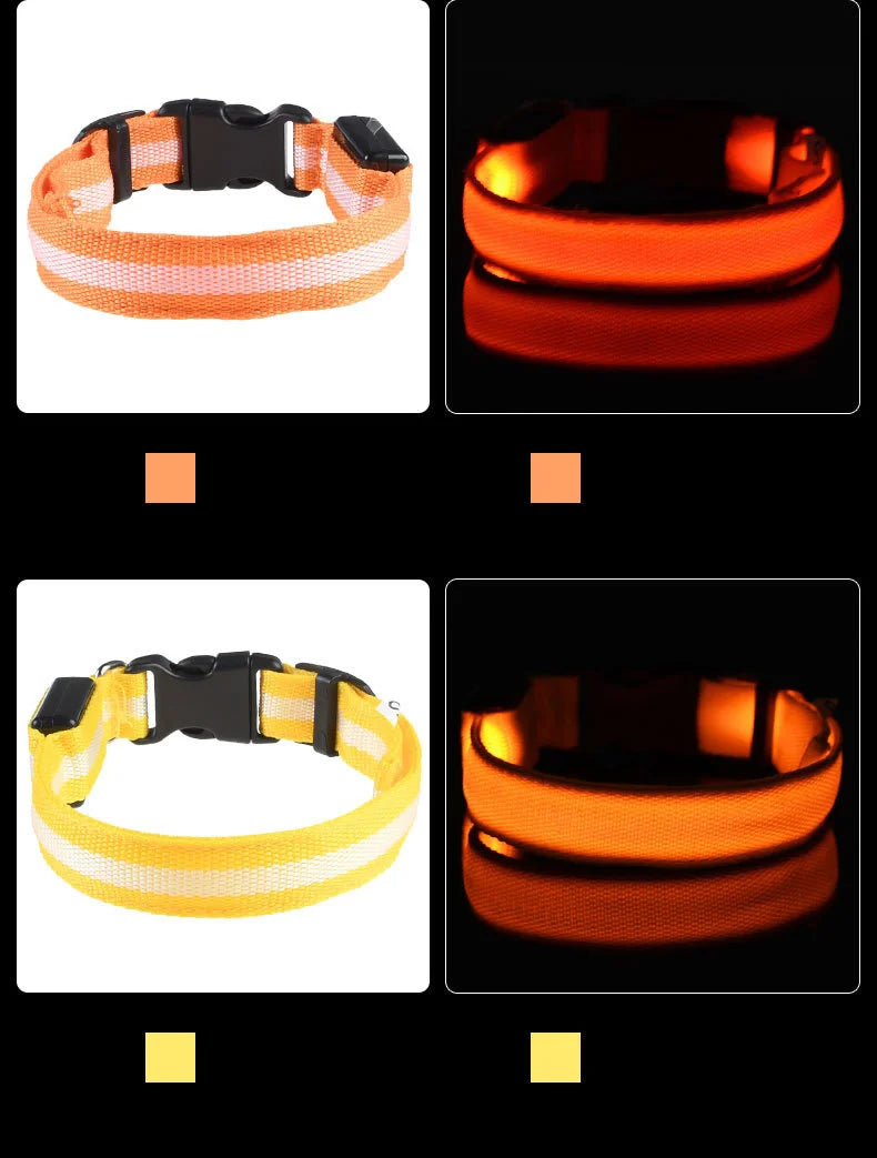 LED Night-Safe Luminous Dog Collar