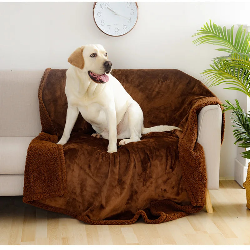 Ultra-Soft & Fast-Drying Pet Towel