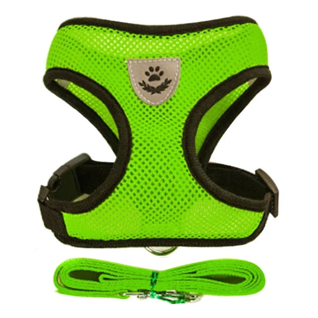 Cat & Small Pet Harness with Leash