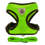 Cat & Small Pet Harness with Leash