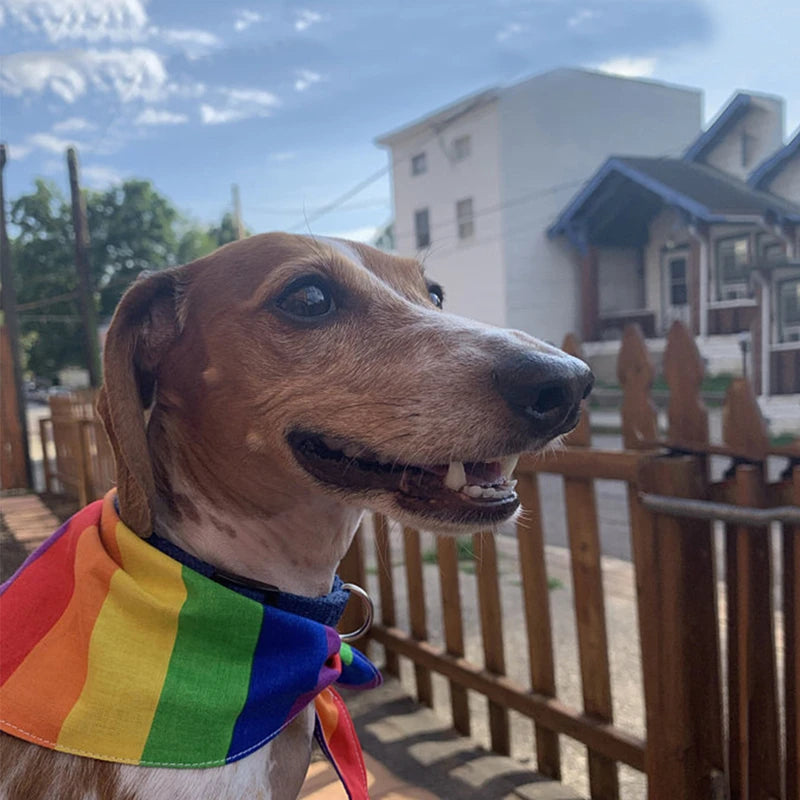 PrideBand – Rainbow Dog Bandana