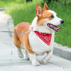 Dog Collar StyleBand - Adjustable Collar with Bandana