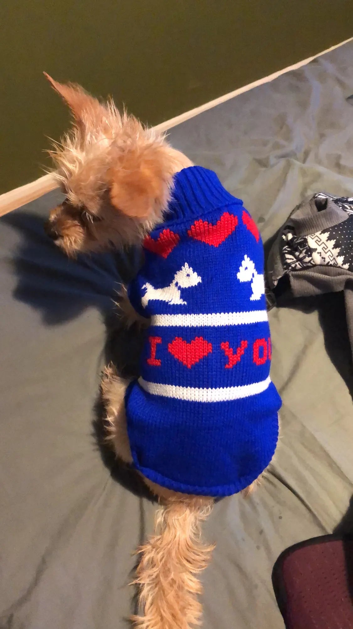 CozyKnit - Winter Sweater for Dogs & Cats