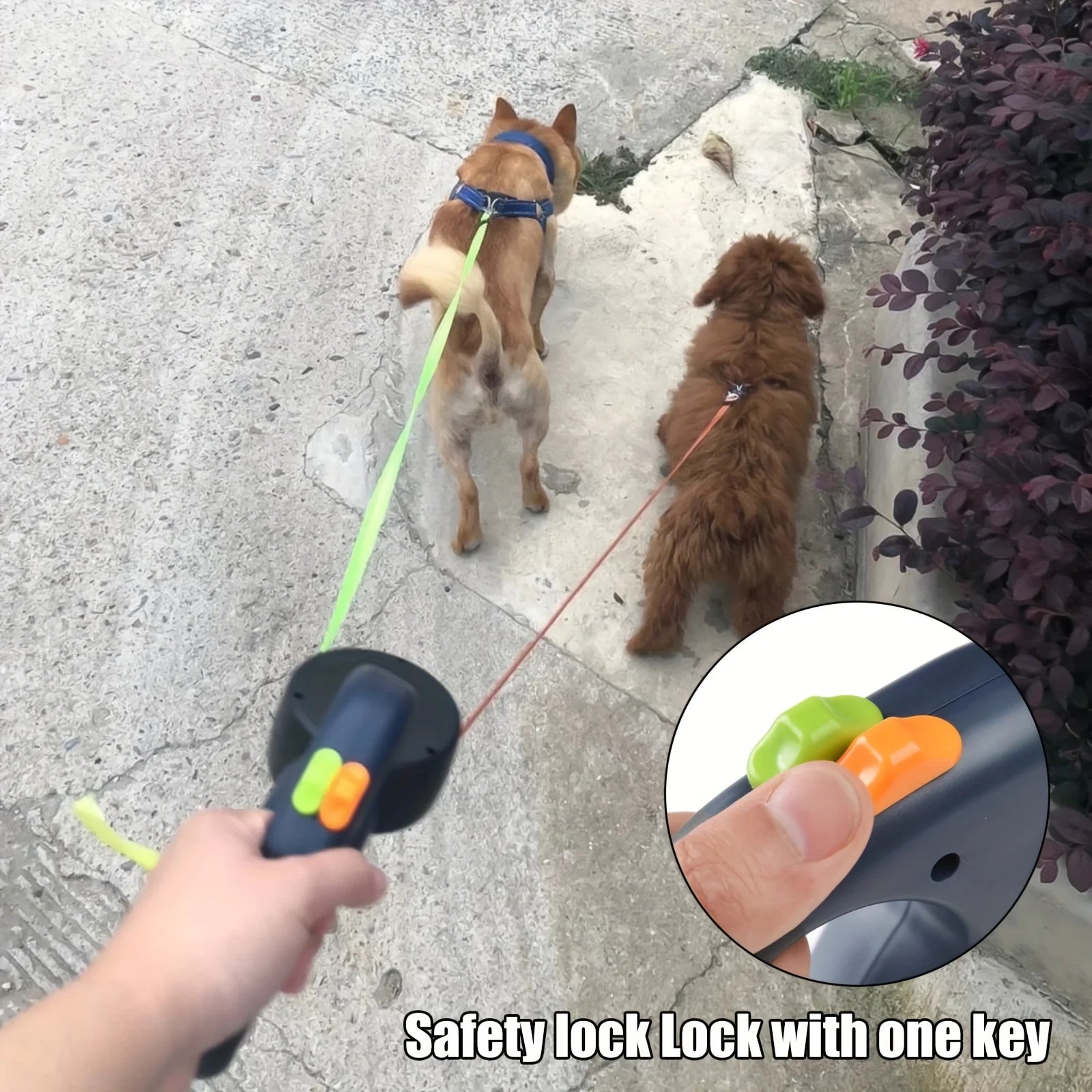 Dual Retractable Dog Leash w/LED Flashlight and Waste Bag Box Roulette