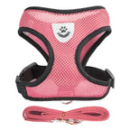 Cat & Small Pet Harness with Leash