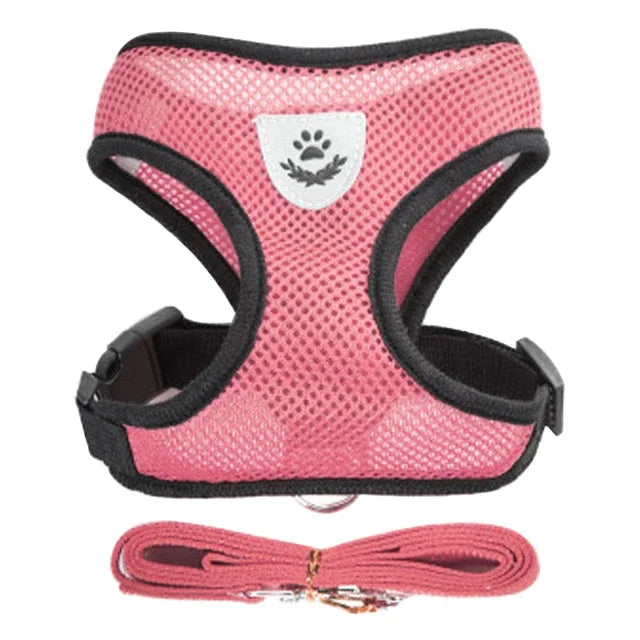 Cat & Small Pet Harness with Leash