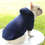 Winter Hooded Sweatshirt for Dogs & Cats