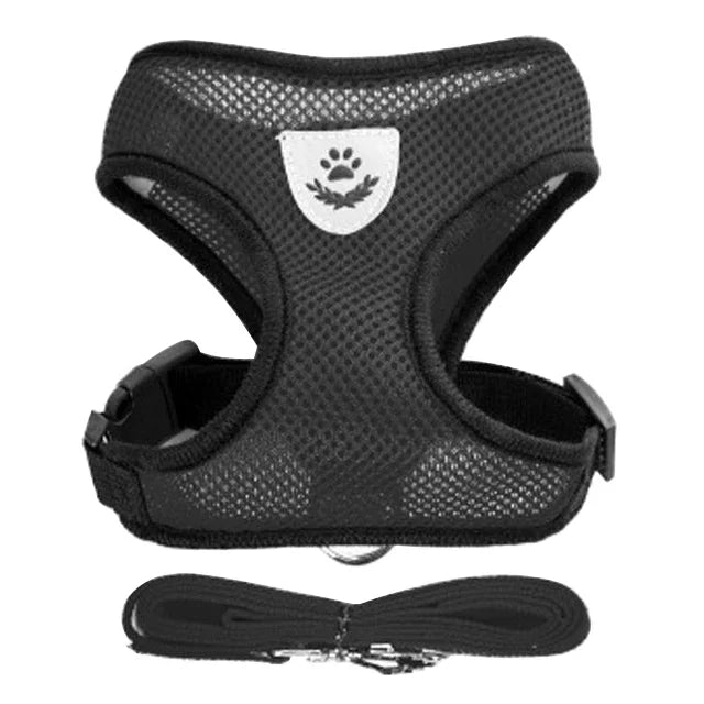 Cat & Small Pet Harness with Leash
