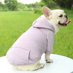 Winter Hooded Sweatshirt for Dogs & Cats