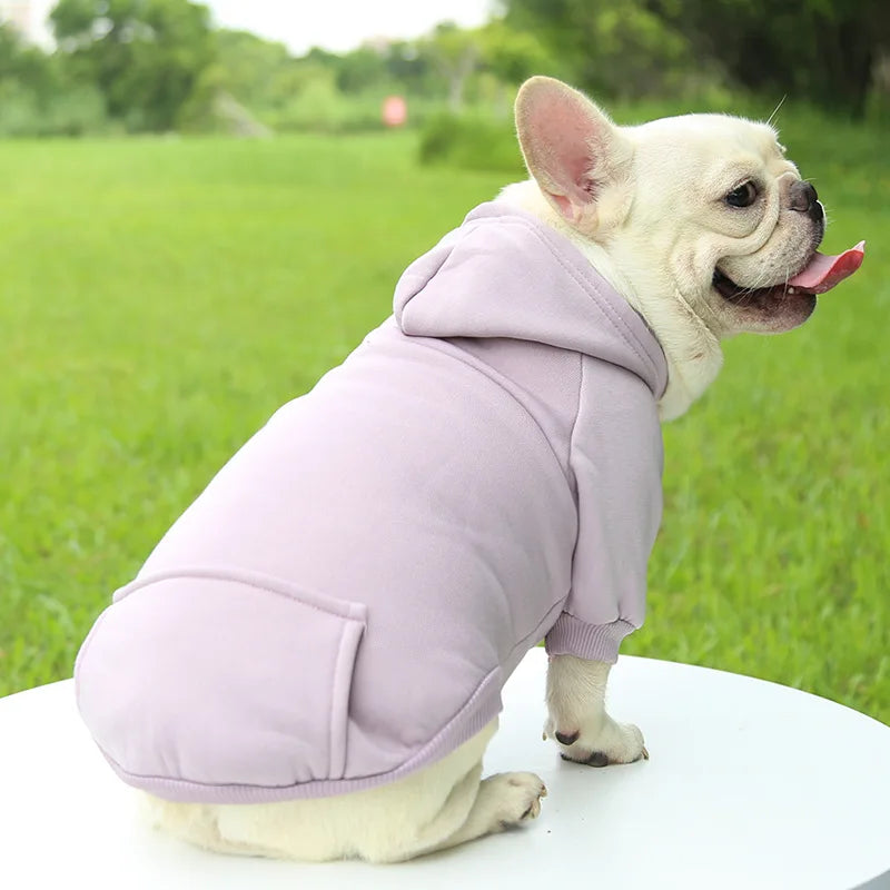 Winter Hooded Sweatshirt for Dogs & Cats