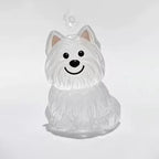 PetMemory – Clear Pet Fur Keepsake Keychain