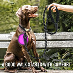 Heavy-Duty Reflective Rope Leash - Strong Dog Leash
